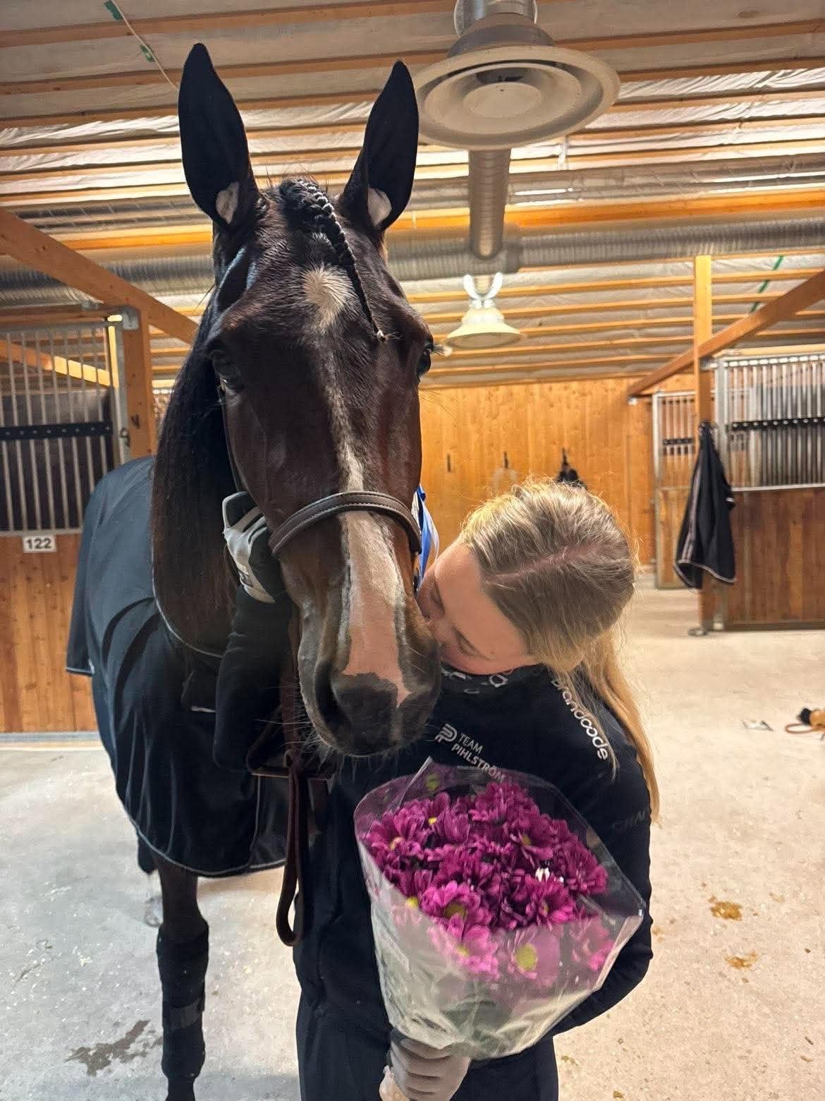 Person holding a bouquet of pink flowers stands with a black horse wearing a saddle blanket in a wooden barn