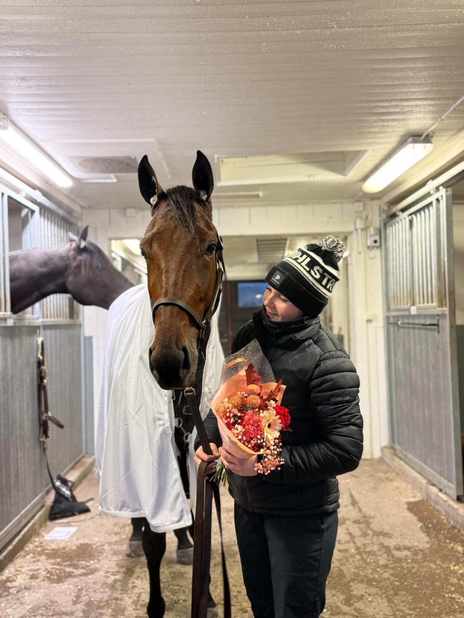 Person in winter clothing holding flowers next to a brown horse wearing a white blanket in a stable
