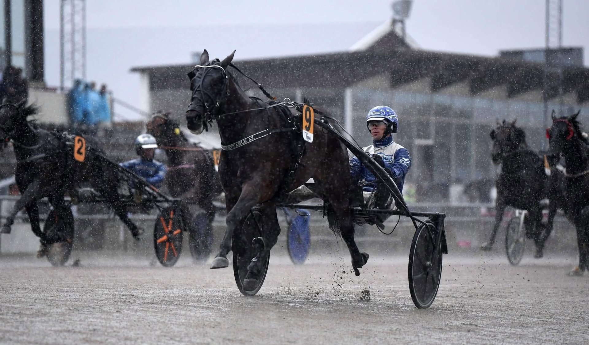 Harness racing with black horses pulling sulkies in rain, driver in white silks on track with grandstand in background