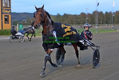 Harness racing horse with jockey in sulky on dirt track, other competitors visible in background