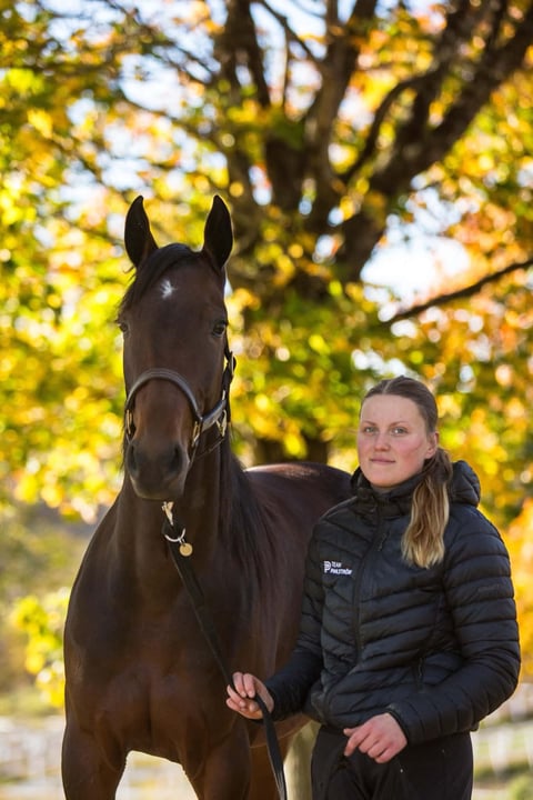 Woman in black jacket leading a dark brown horse outdoors with golden autumn foliage in background