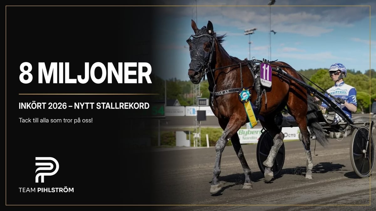 Racehorse harnessed to a sulky at a trotting track with text advertising 8 million prize money for 2026