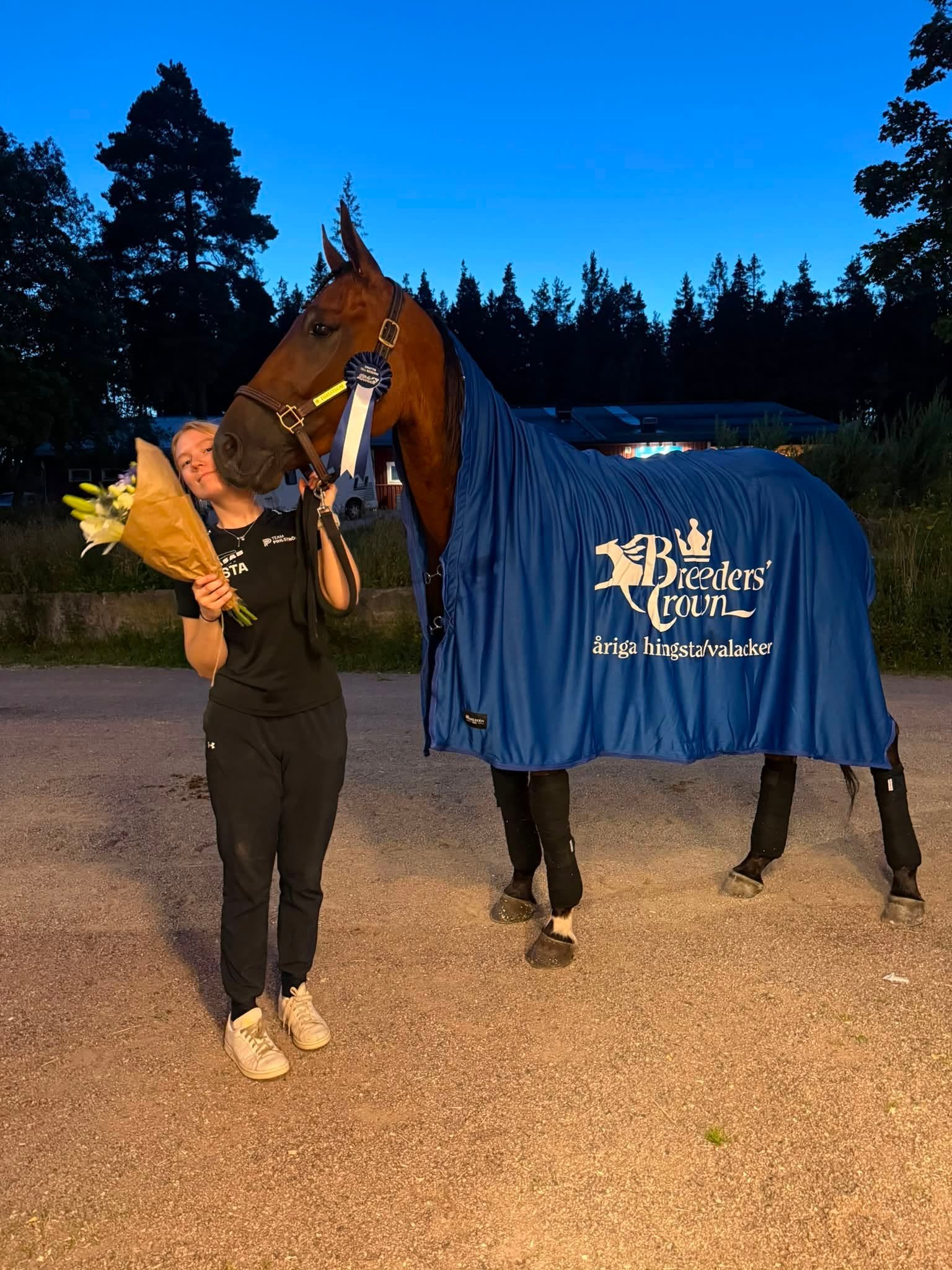 Person holding a chestnut horse wearing a blue Breeders Cup blanket on a dirt path with forest and lake background