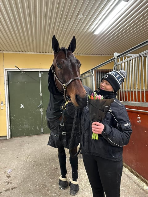 Person in black winter jacket and beanie leading a brown horse by halter inside a stable building