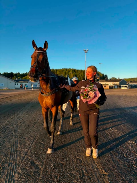 Woman in equestrian attire leading a brown horse in a winners circle at a rodeo or horse show