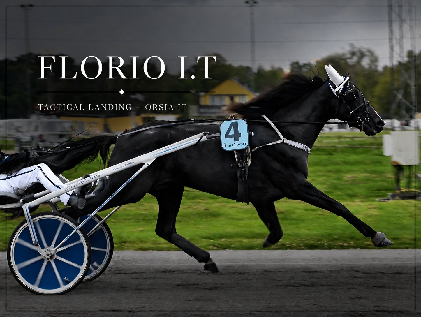 Black harness racing horse named Florio I.T. with blue and white cart in motion on track
