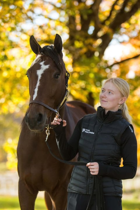 Young woman in black jacket leading a dark brown horse with white blaze against autumn foliage background