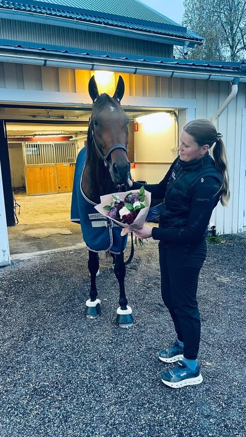 Woman in black jacket presenting a bouquet of flowers to a black horse wearing a navy coat outside a stable building